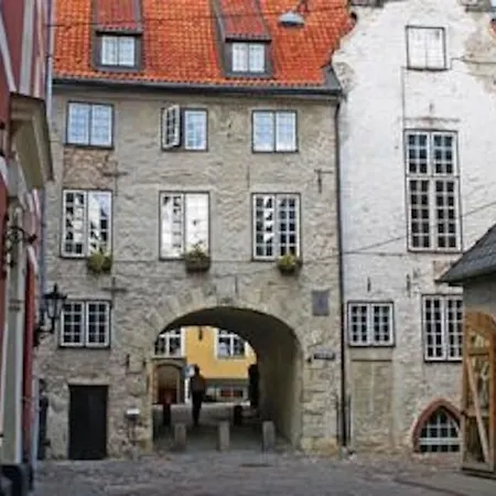 Old Romantic Loft 아파트